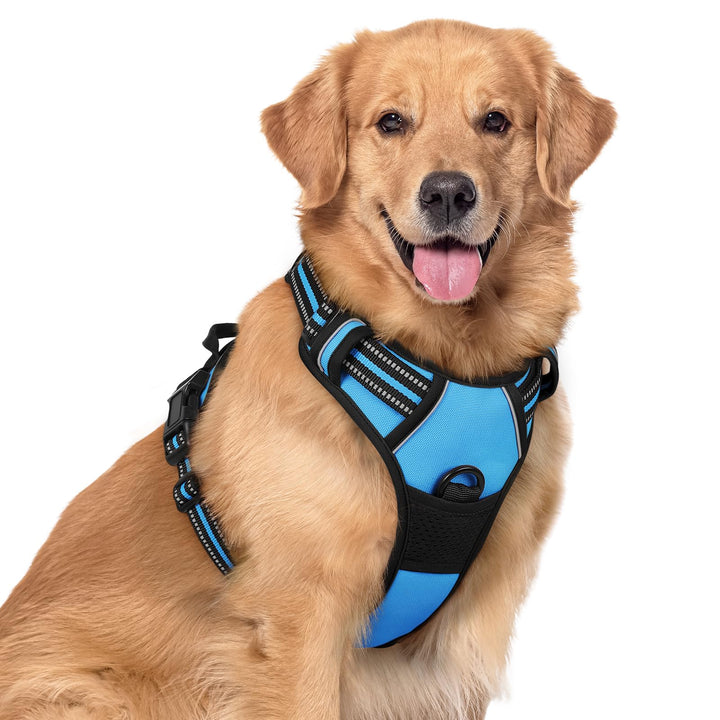rabbitgoo Hundegeschirr Mittelgrosse Hunde, Anti Zug Geschirr mit Kontrolle, No Pull Verstellbar Hun