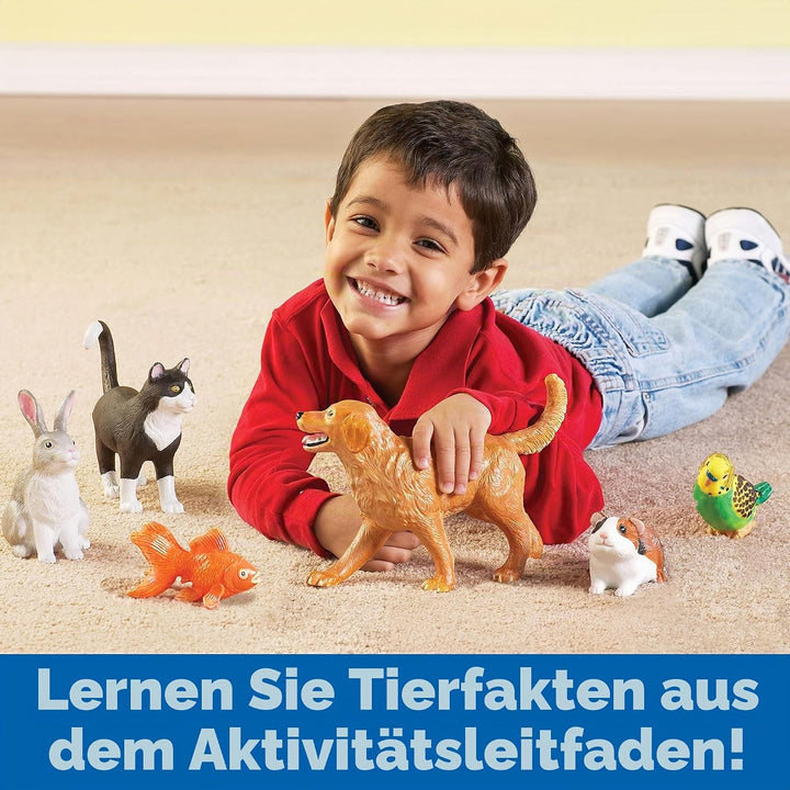 Learning Resources Grosse Haustiere