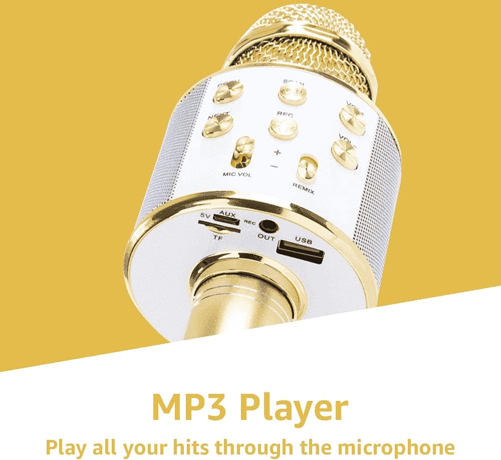 MAX KM01 Bluetooth Karaoke Mikrofon mit Lautsprecher, USB, Micro SD, MP3-Player, Mikro mit Echo, Sti