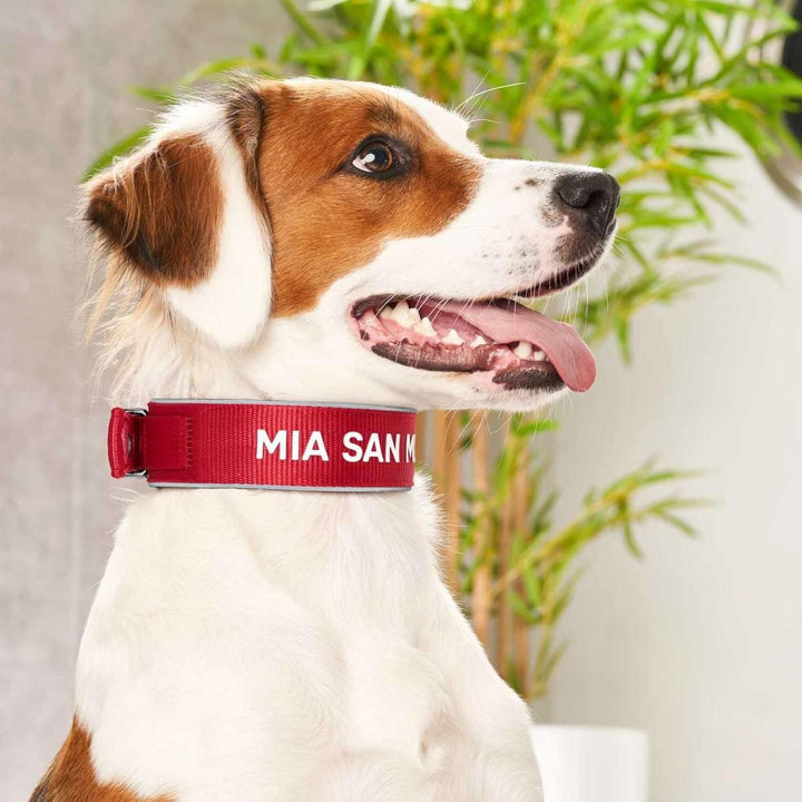 Hunter NEOPREN REFLECT FC Bayern München Hundehalsband, M-L (55), rot/grau Rot M-L (55), Rot M-L (55