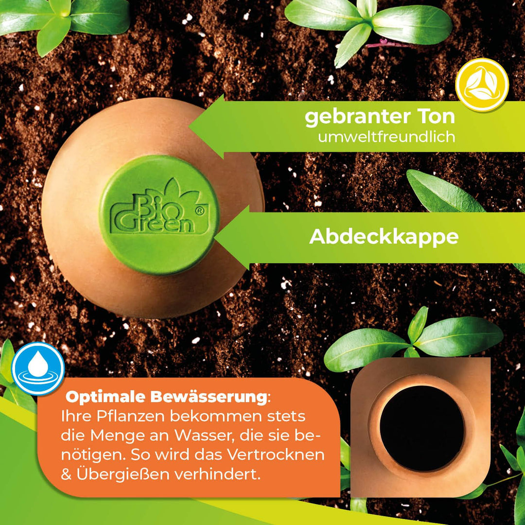 BioGreen Olla Pflanzenbewässerung HYDRO MAX | vers. Grössen | 0,2 L | Ø 30 cm automatische Bewässeru