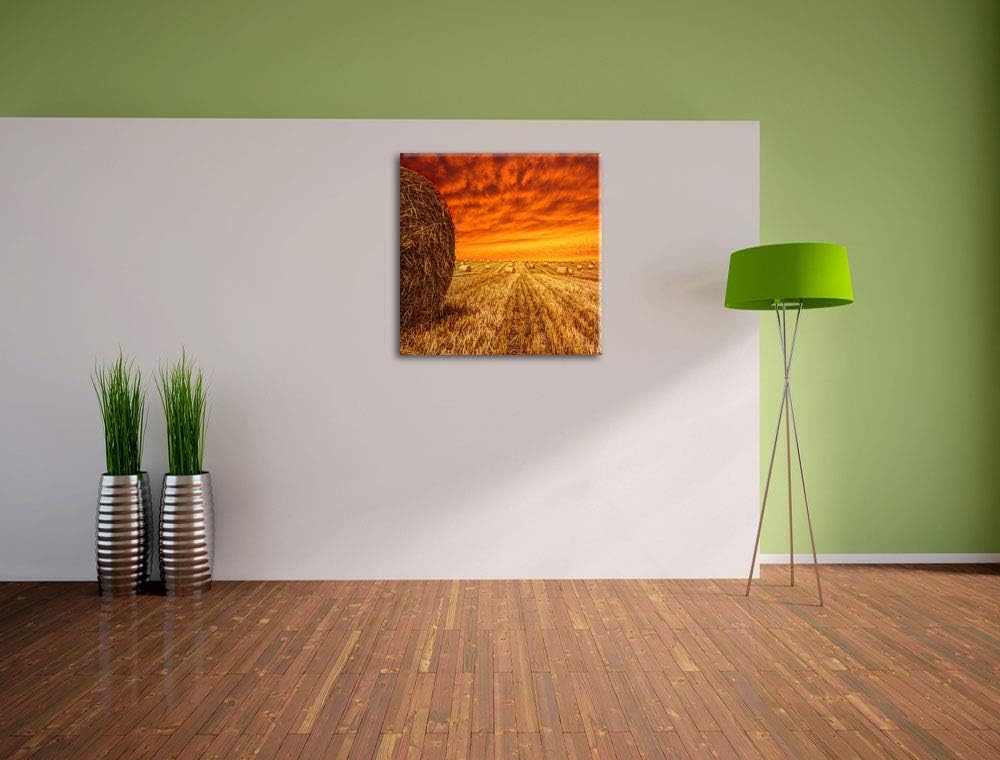 Feld im Sonnenuntergang, Format: 70x70 auf Leinwand, XXL riesige Bilder fertig gerahmt mit Keilrahme