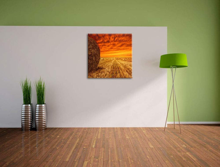 Feld im Sonnenuntergang, Format: 70x70 auf Leinwand, XXL riesige Bilder fertig gerahmt mit Keilrahme