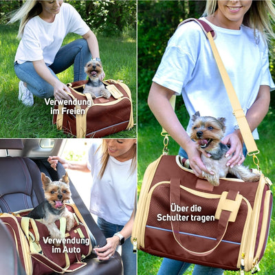 PETPROVED Transportbox Katze Hund Katzentransportbox Hundetasche Kleine Hunde Katzen Transportboxen