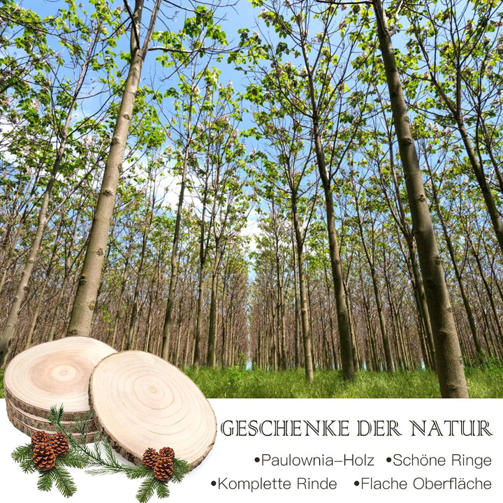 Holzscheiben 4 Stück, 18–20 cm und eine dicke von 15 mm Baumscheibe Holzplatte Rund für Tafelaufsätz