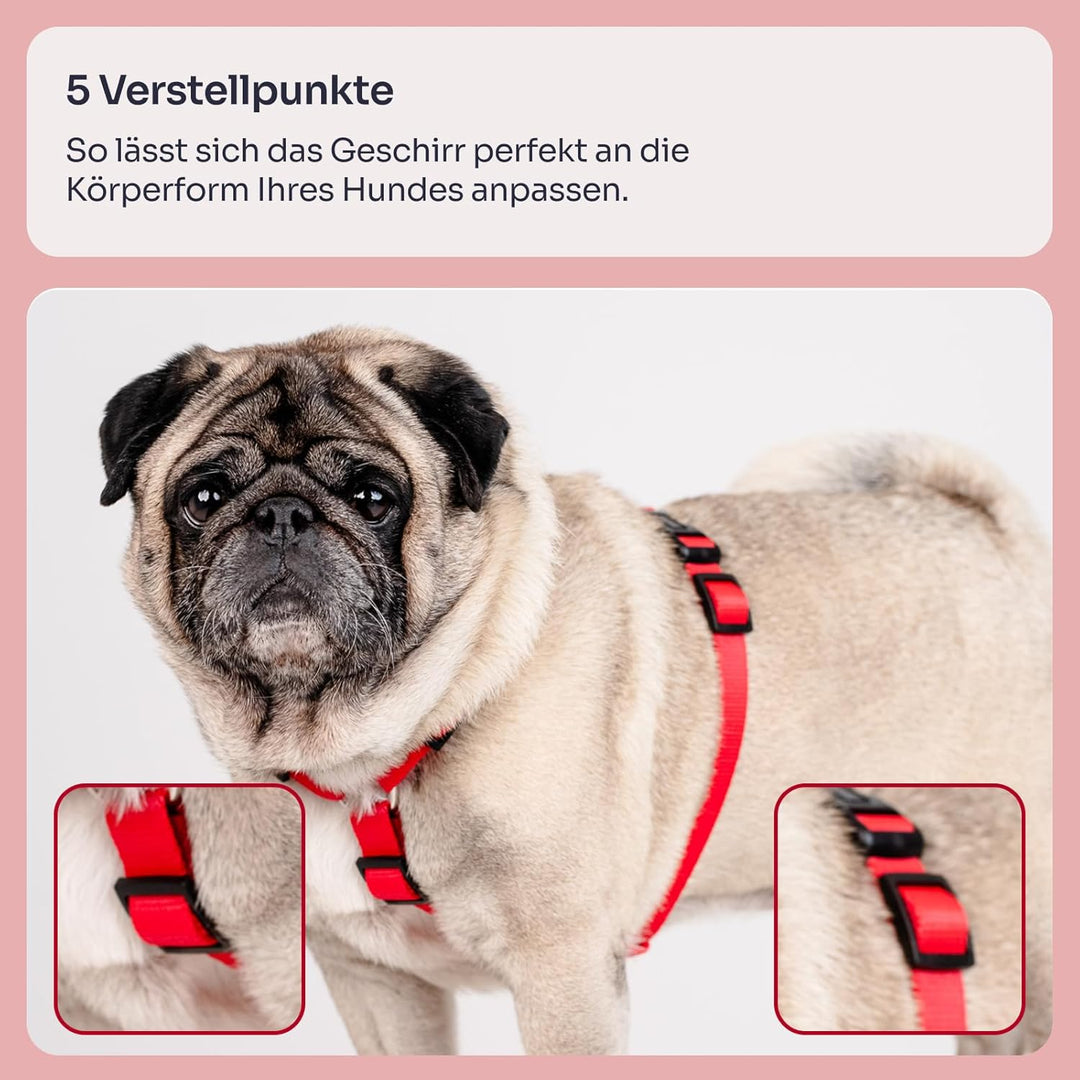 Chaba Guard Hundegeschirr für mittelgrosse Hunde mit Kontrolle, Anti-Zug & Würgen, Verstellbar, Komf