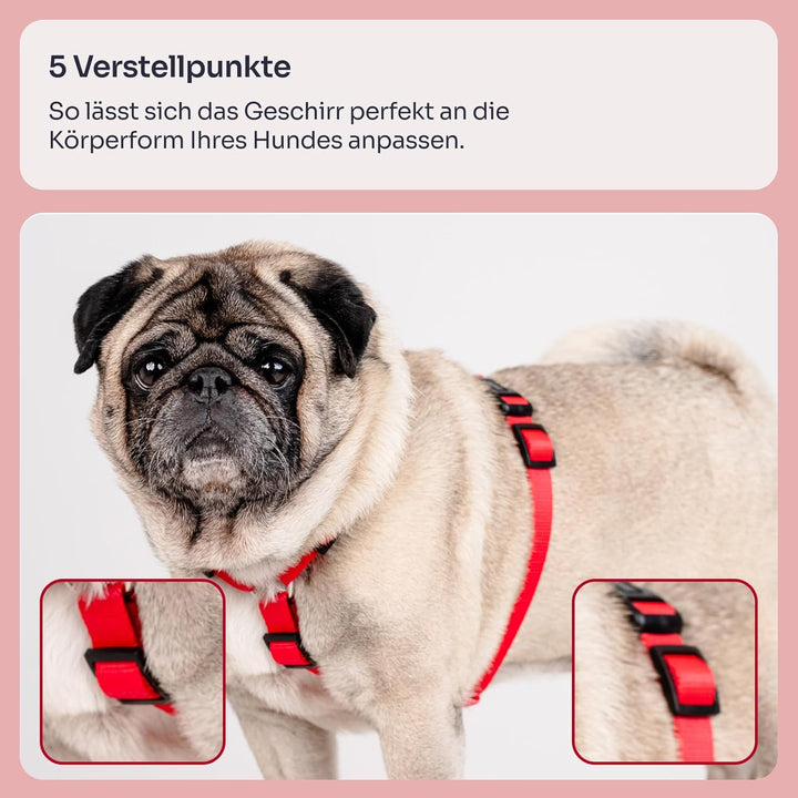 Chaba Guard Hundegeschirr für mittelgrosse Hunde mit Kontrolle, Anti-Zug & Würgen, Verstellbar, Komf