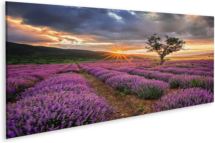 islandburner Bild auf Leinwand Atemberaubende Landschaft Mit Lavendelfeld Bei Sonnenaufgang Bilder W
