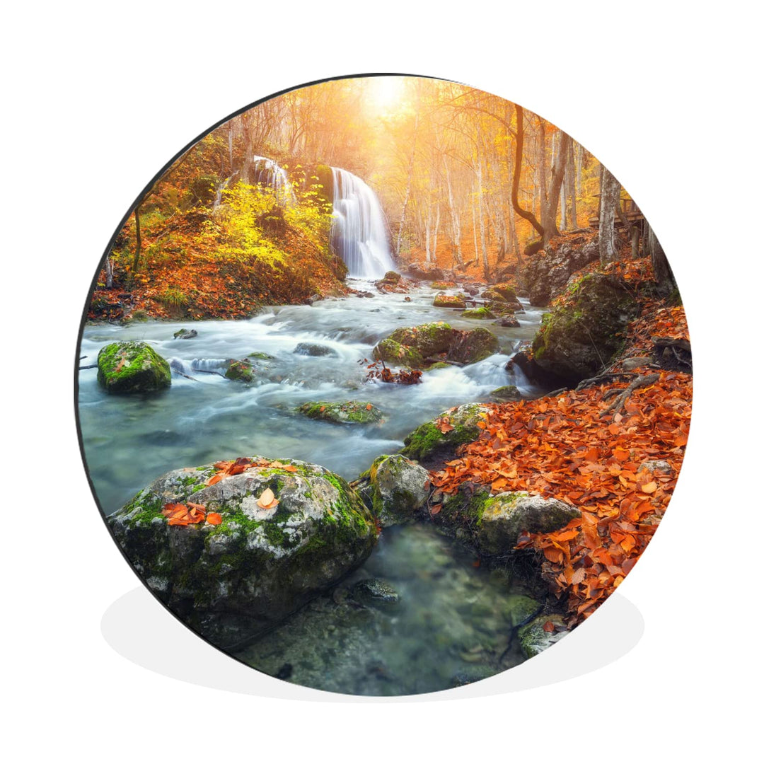MuchoWow Wandbild Rund Wanddeko Deko Wohnzimmer Bilder 90x90 cm Natur - Sonne - Herbst, 90x90 cm