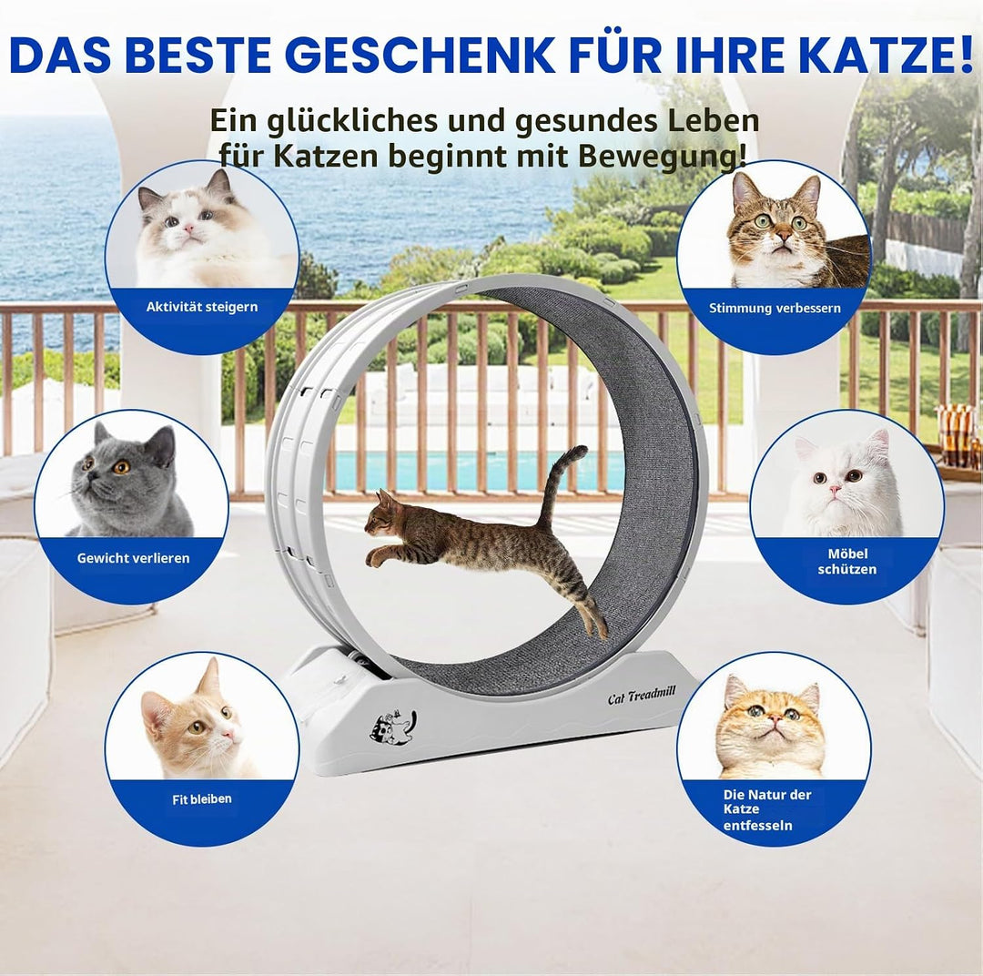 homegroove 31,5 Zoll Katzenräder für Indoor-Katzen, Plastik Katze Übung Laufband Rad mit Teppich Sta