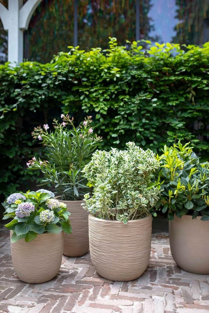 Capi Europe - Blumentopf Kugel Waste Rib NL - 35x34 - Terrazzo grau - Öffnung Ø29 - Blumentopf für d