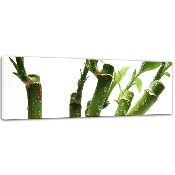 Bilderdepot24 Bild auf Leinwand | Bambus in 90x30 cm als Panorama Wandbild | Wand-deko Dekoration Wo