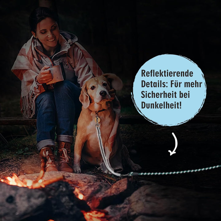Aystkniet Bungee Schleppleine für Hunde 3M 5M 9M 10M 15M 20M 30M, Schockabsorbierende Hundeleine mit