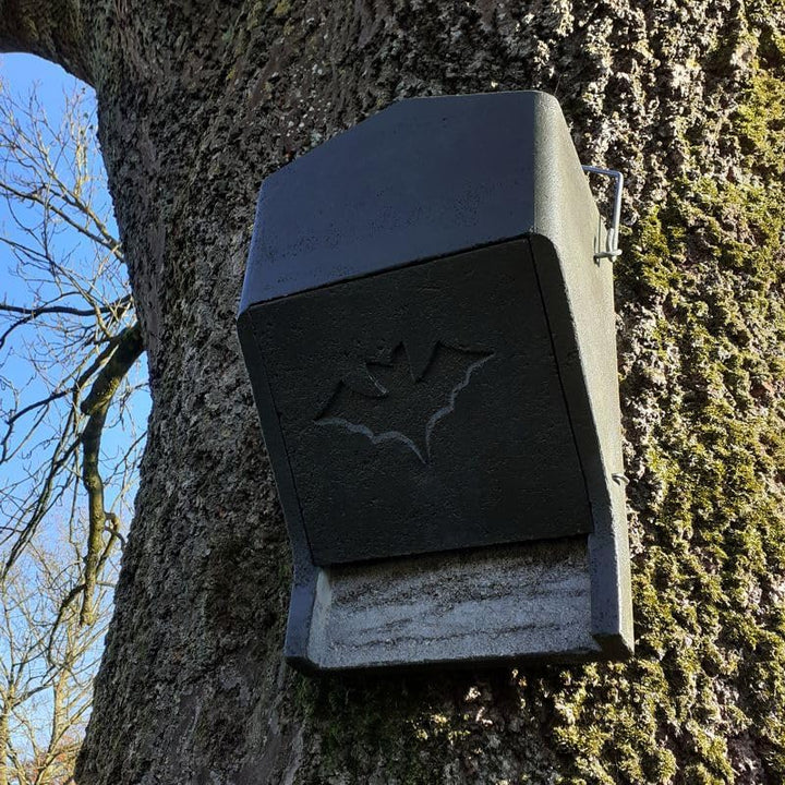 Fledermaus Grossraumkasten universal aus Holzbeton | Wetterfest | Fledermausquartier | Fledermauswoc