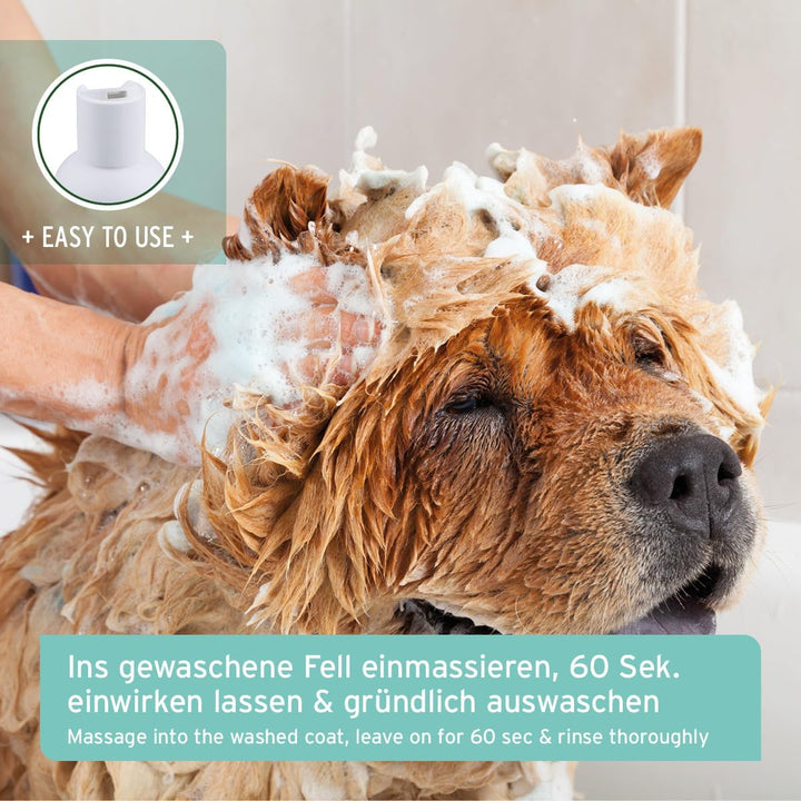 AniForte Fellharmonie Conditioner für Hunde 200ml - Spülung für Hunde mit Kokosöl & Aloe Vera, für L