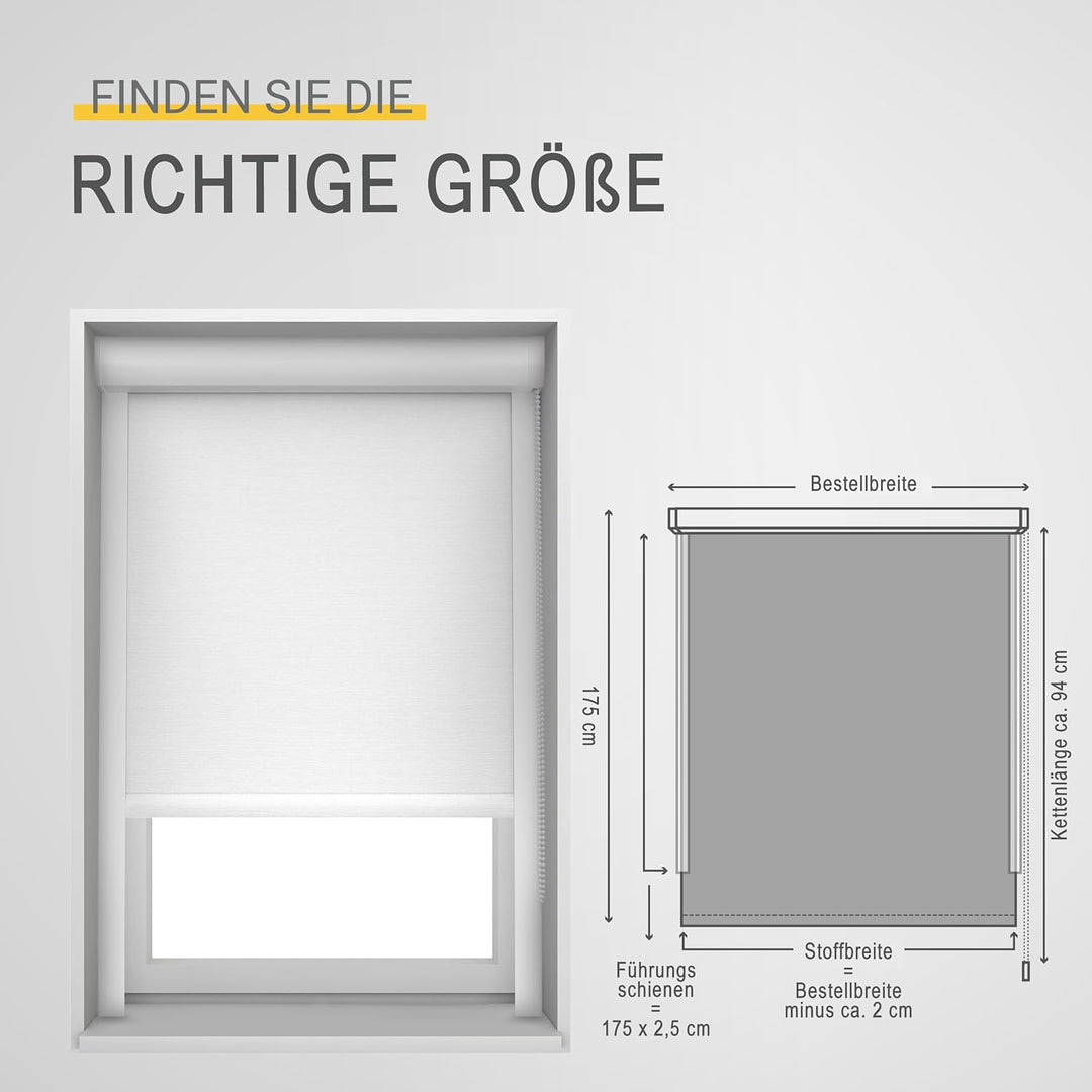 Sol Royal Kassettenrollo mit Führungsschiene SolReflect K24 60x175 cm Weiss - Blackout Thermorollo s