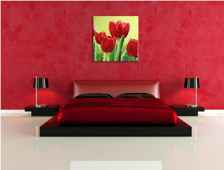 Pixxprint Rote Tulpen mit Tropfen bedeckt, Format: 70x70 auf Leinwand, 70x70