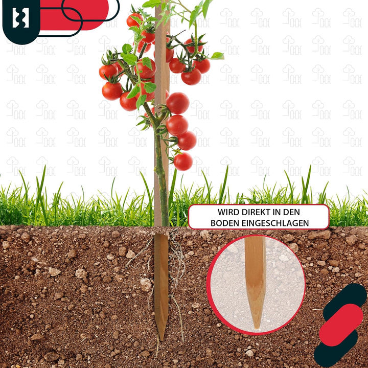 KOTARBAU® 10er Set Tomatenstäbe Pflanzstäbe 150cm Zaunpfahl Holzpfosten Holzpflock angespitzt Pflanz
