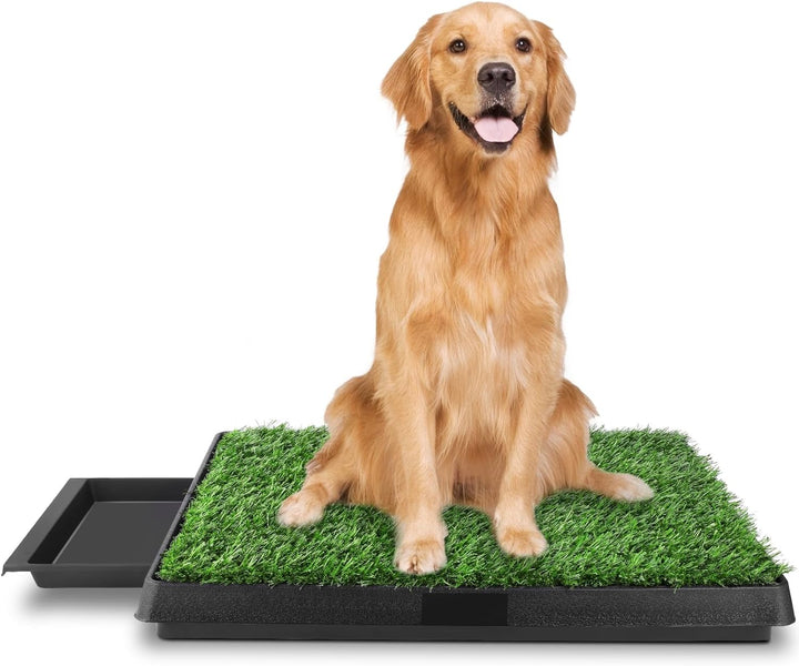 63 x 50 cm grosse Hundetoilette, Welpentoilette, Trainingsunterlage für kleine, grosse und ältere Hu