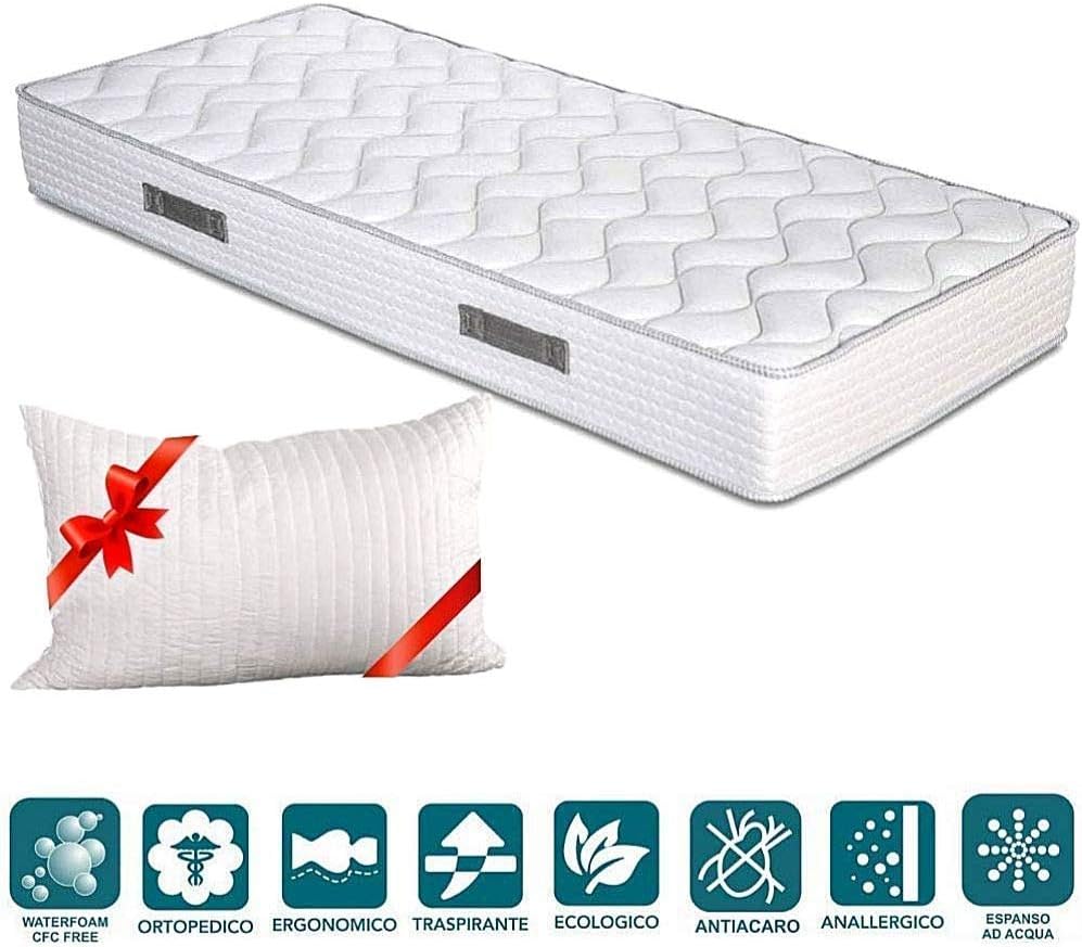 EVERGREENWEB - Orthopädische Waterfoam Matratze 80x190 cm, Hoch 20 cm + 1 VISCOSCHAUM Kissen KOSTENL