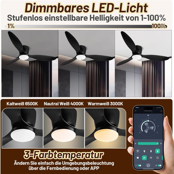 Deckenventilator mit Beleuchtung und Fernbedienung, Ø 132 cm Deckenlampe mit Ventilator dimmbar, 3 F