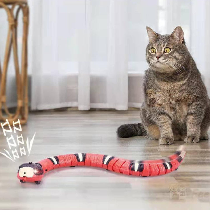Syfunlv Ferngesteuerte Schlange Elektrisches Spielzeug, USB aufladbar Interaktives Katzenspielzeug m