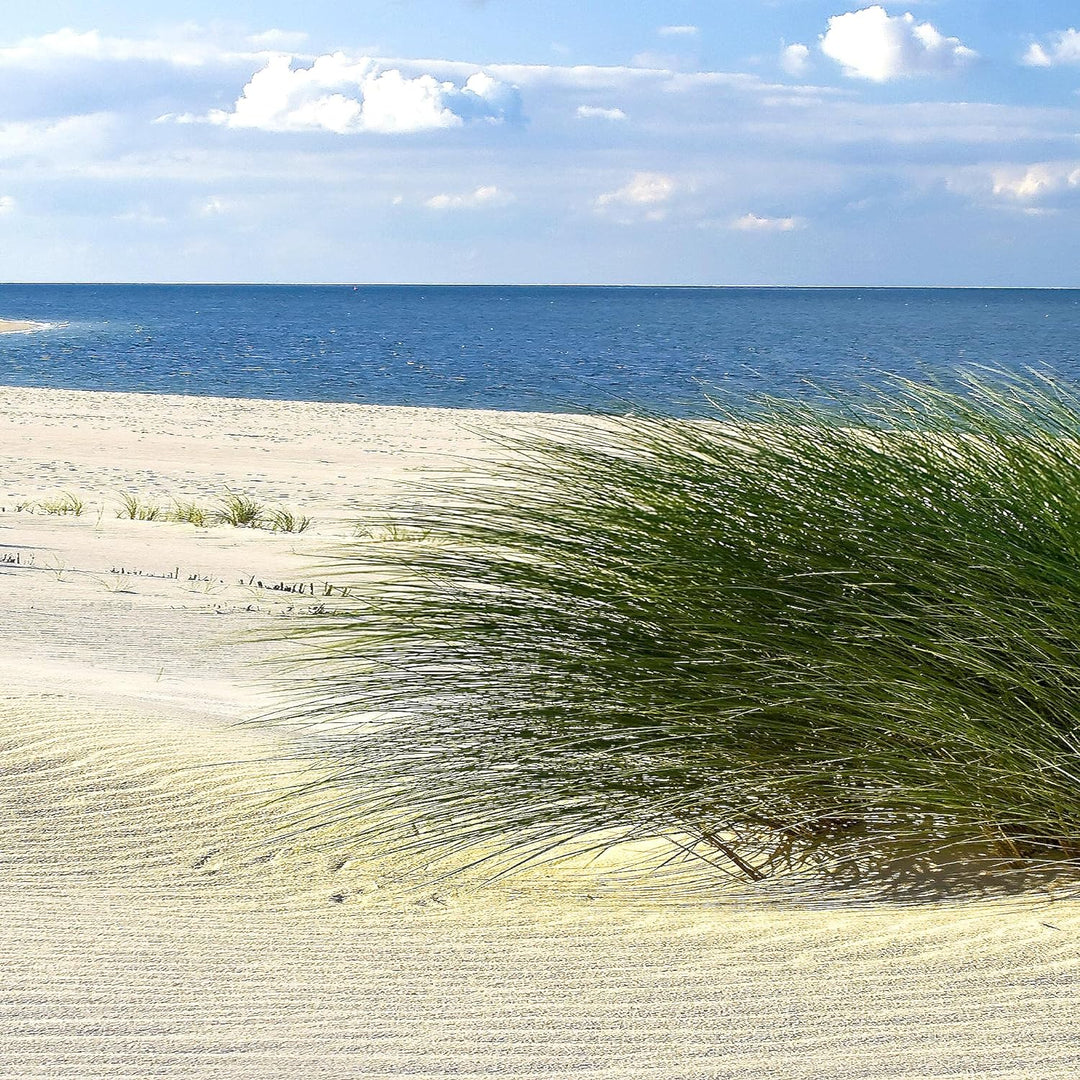 Runa Art Wandbilder Strand Meer 5 Teilig Bild auf Vlies Leinwand Deko Schlafzimmer Wohnzimmer Panora