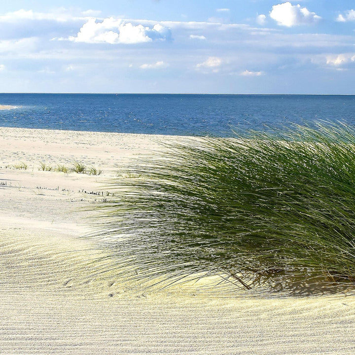 Runa Art Wandbilder Strand Meer 5 Teilig Bild auf Vlies Leinwand Deko Schlafzimmer Wohnzimmer Panora