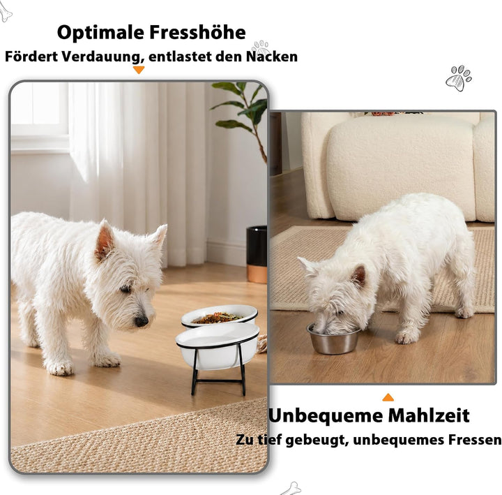 Katzennapf Hundenapf - Futternapf Katze Hund Keramik - Katzennapf Erhöht mit Ständer - Doppel Fressn