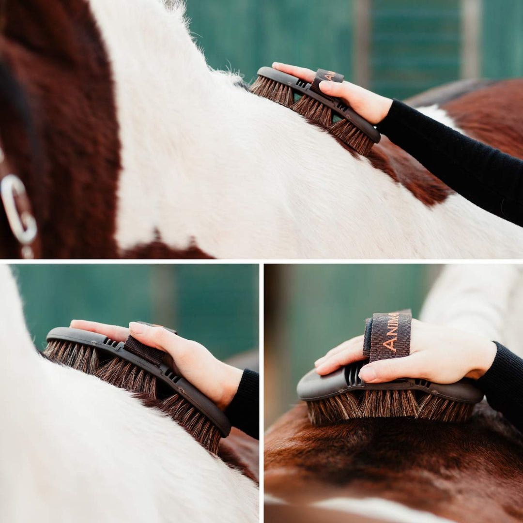 Animalon CareFlex Rosshaar-Kardätsche | Flexible & Ergonomische Pferde-Bürste mit Klettverschluss fü