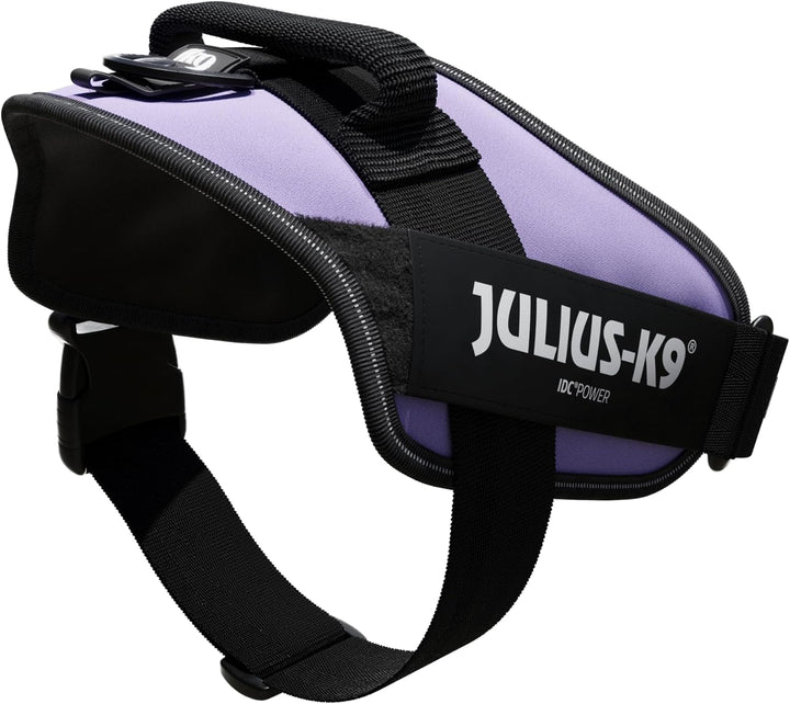 IDC Powergeschirr, Grösse: L/1, Violett Violett L/1, Violett L/1