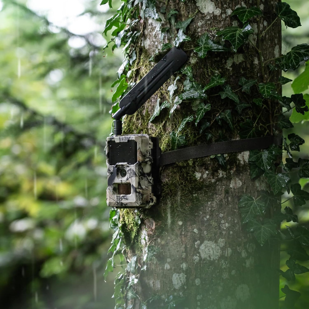 DÖRR Cloud Mini 4G/LTE Wildkamera, Überwachungskamera, Simlockfrei, iOS/Android/Web App, 4G Bild-& V