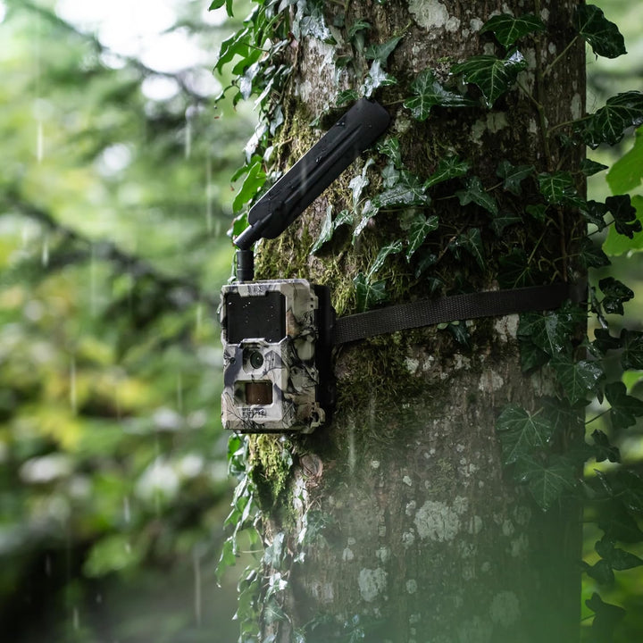 DÖRR Cloud Mini 4G/LTE Wildkamera, Überwachungskamera, Simlockfrei, iOS/Android/Web App, 4G Bild-& V