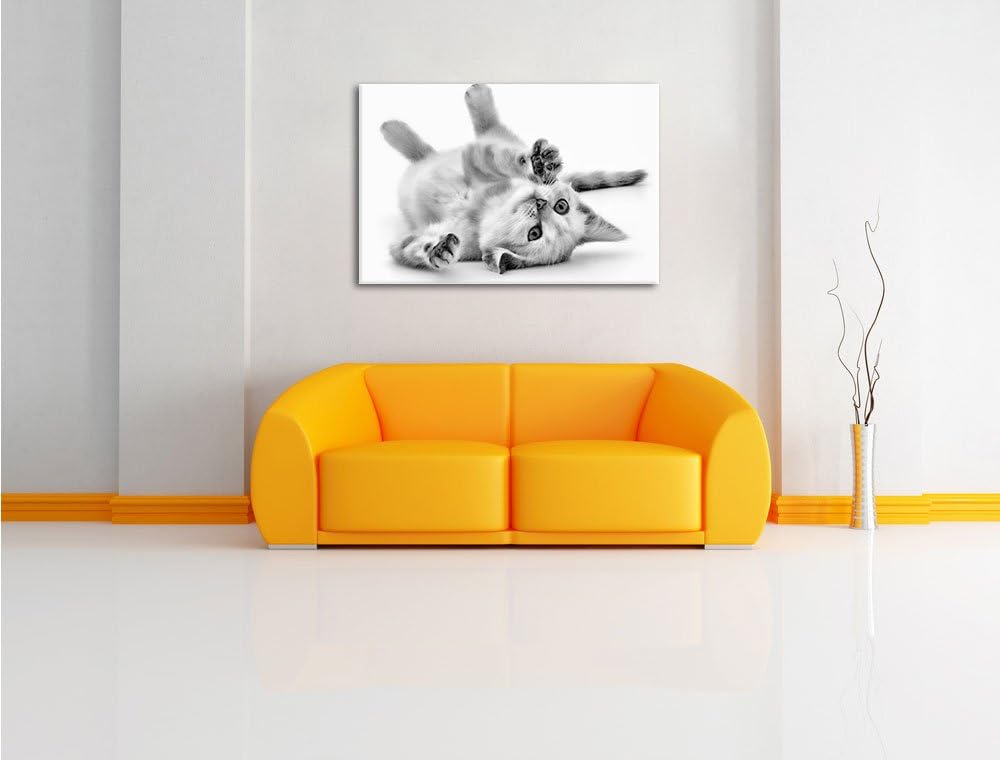 Monocrome, Kleine Katze, Format: 100x70 auf Leinwand, XXL riesige Bilder fertig gerahmt mit Keilrahm
