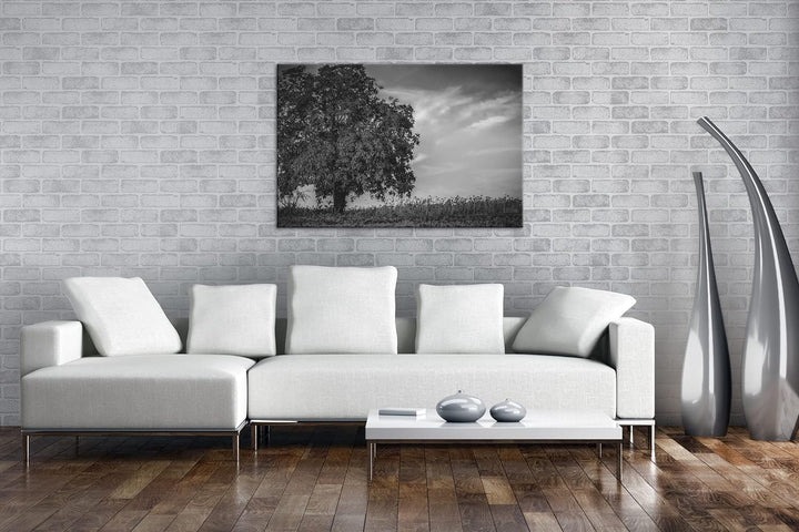 deyoli Herbstliche Landschaft Format: 80x60 als Leinwand, Effekt: Schwarz&Weiss, Motiv fertig gerahm