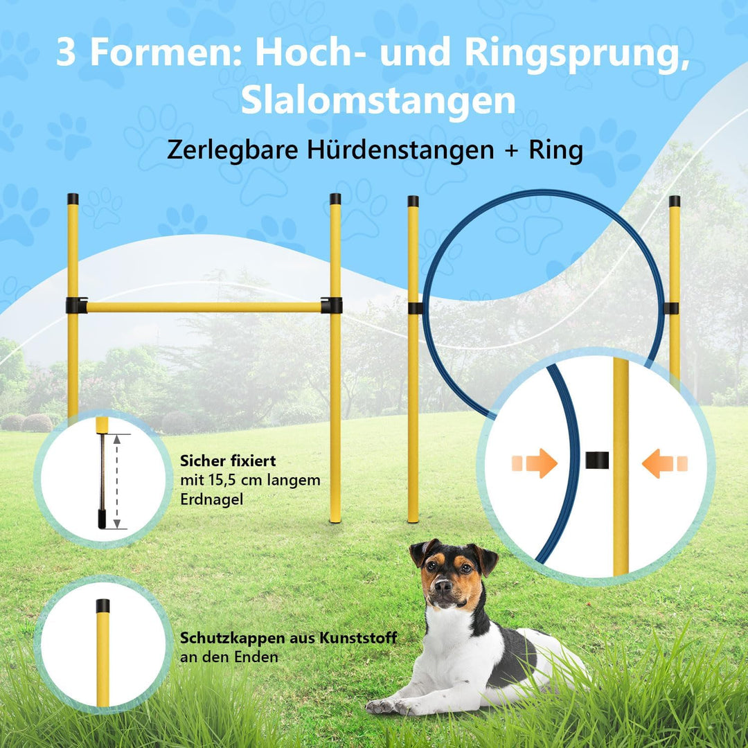 Agility Set Hunde Klein und Gross aus Tunnel für Hunde, Agility Stangen, Hürdenstange, Agility Ring