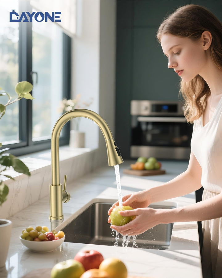 DAYONE Gold Niederdruck Armatur Küche Küchenarmatur, SUS304 Edelstahl Wasserhahn Küche, 3 Strahlarte