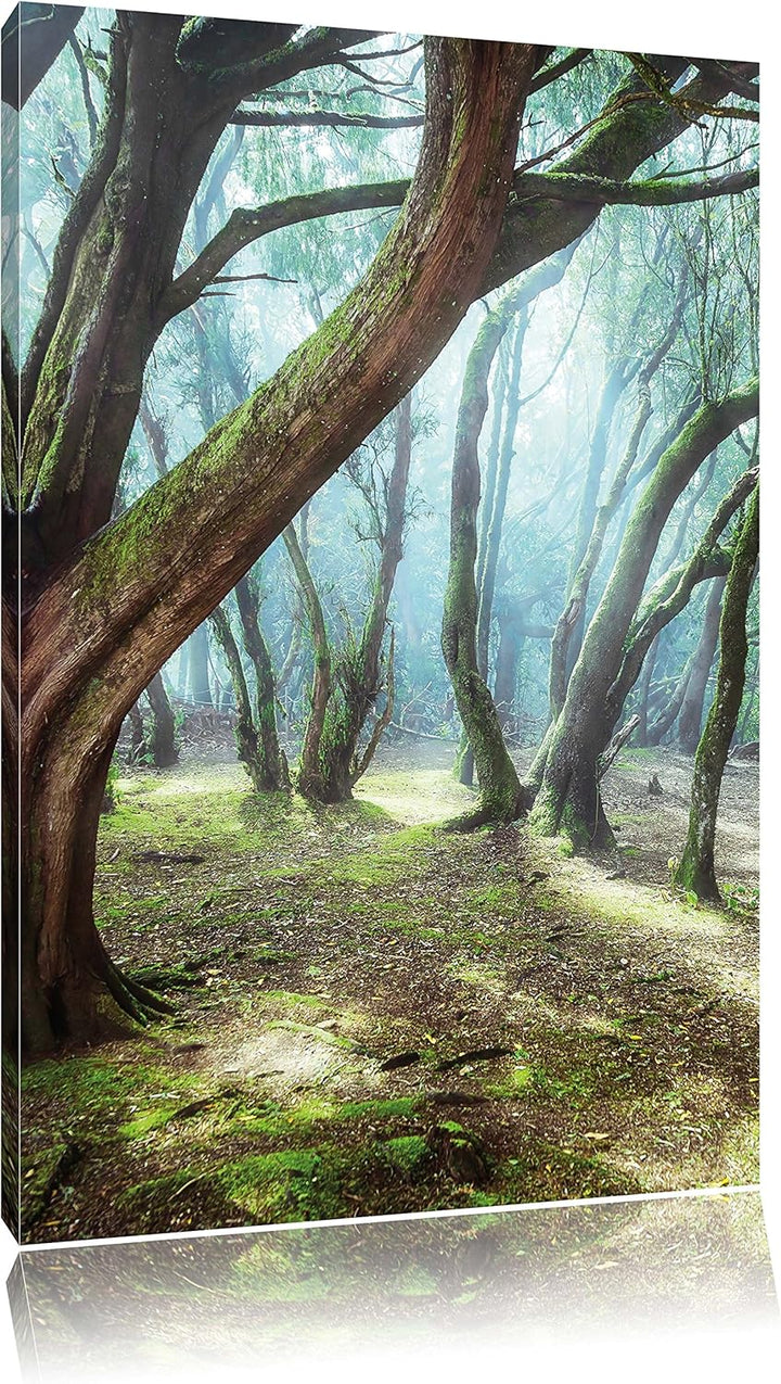 Pixxprint Wald, Format: 100x70 auf Leinwand, XXL riesige Bilder fertig gerahmt mit Keilrahmen, Kunst