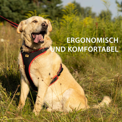 Ferplast Hundegeschirr mittlegrosse Hunde Geschirr Hunde mit Polsterung ERGOCOMFORT M, Halsumfang: 3