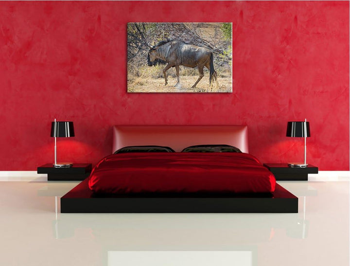 Pixxprint Kaffernbüffel in der Savanne auf Leinwand, XXL riesige Bilder fertig gerahmt mit Keilrahme