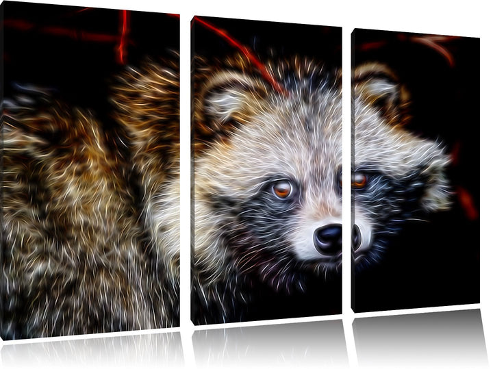 Dark scheuer Waschbär Spezial 3-Teiler Leinwandbild 120x80 Bild auf Leinwand, XXL riesige Bilder fer