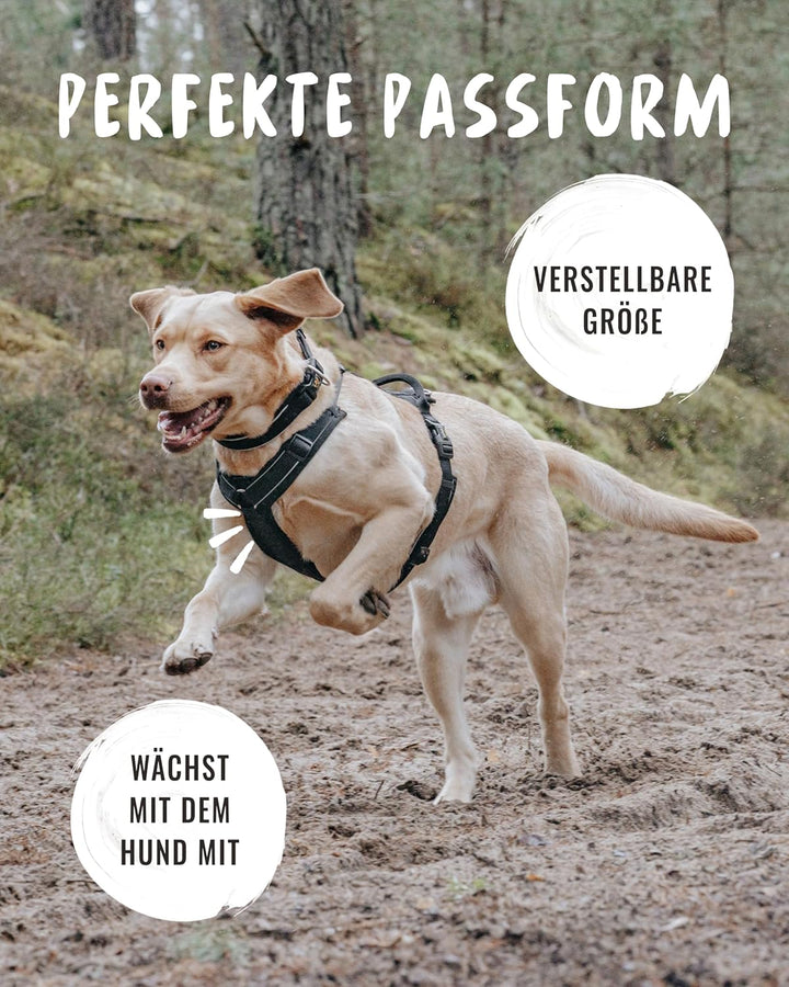 Rudelkönig Hundegeschirr Paola - Reflektierendes Brustgeschirr mit Haltegriff - Verstellbares Geschi