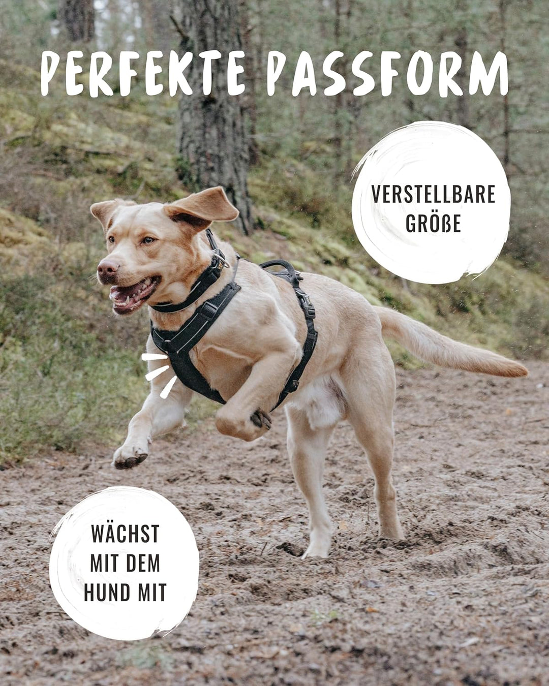 Rudelkönig Hundegeschirr Paola - Reflektierendes Brustgeschirr mit Haltegriff - Verstellbares Geschi