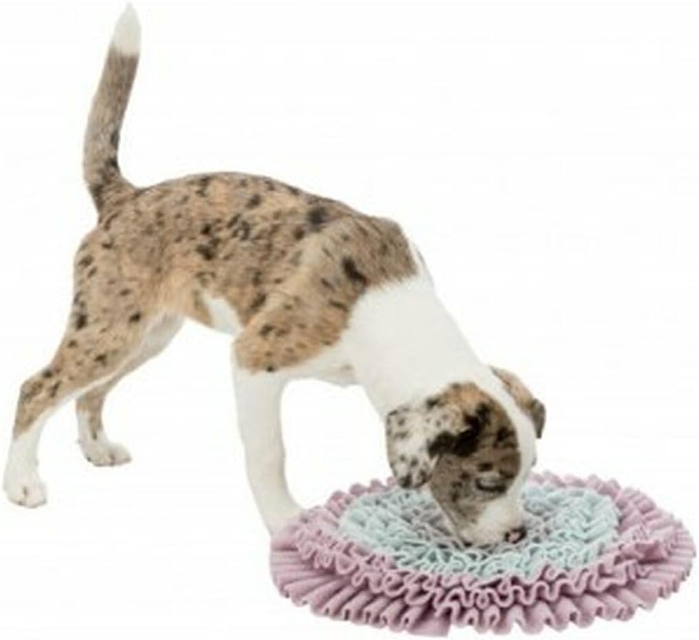 Trixie Junior Schnüffelteppich - 38 cm