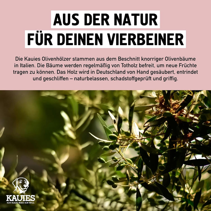 Kauies Kaffeeholz für Hunde mit Olivenöl - Hundespielzeug 100% natürlich, vegan, koffeinfrei &amp; kalor