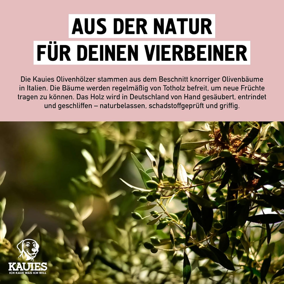 Kauies Kaffeeholz für Hunde mit Olivenöl - Hundespielzeug 100% natürlich, vegan, koffeinfrei &amp; kalor