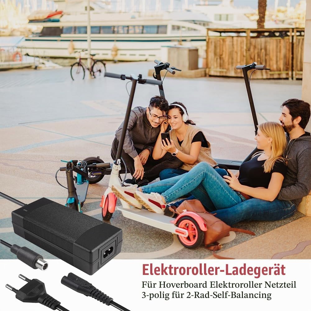 Ladegerät für Xiaomi M365/Pro/Mi 3/1s, Ladegeräte für Scooter, Universelles E Scooter Ladegerät mit