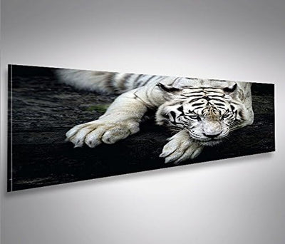 islandburner Bild Bilder auf Leinwand Bengalischer Tiger V2 Panorama XXL Poster Leinwandbild Wandbil