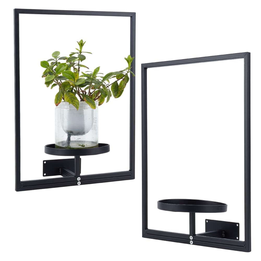 OLYCRAFT 2 Set Bilderrahmen Pflanzenhalter Für Die Wand Schwarze Pflanzenregale Aus Metall Für Fenst
