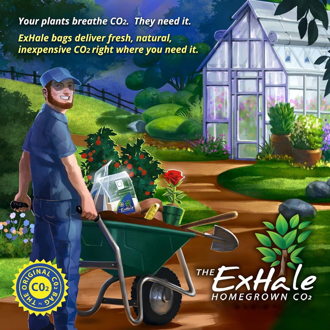 ExHale CO2 für Zimmerpflanzen 1, 1